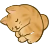 Стикер 17 котятки
