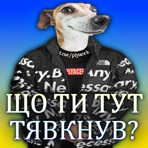 🚀 Стикер «plyacek» для Telegram