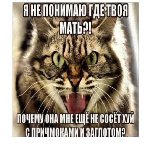 🤬 Стикер «плюхи» для Telegram