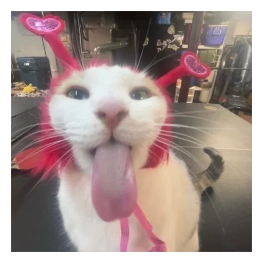 😻 Стикер «плюхи» для Telegram