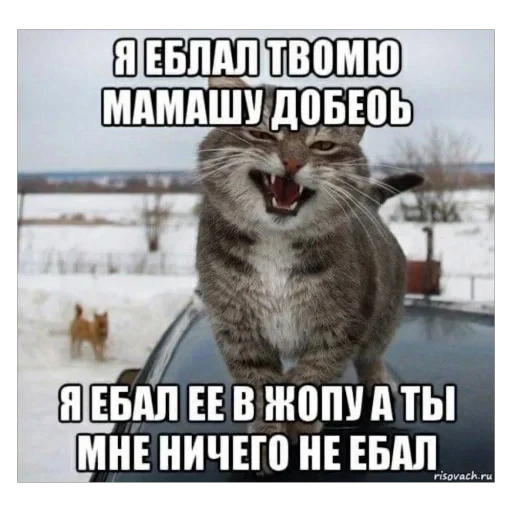 😡 Стикер «плюхи» для Telegram