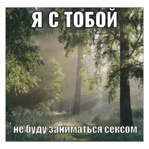 🌱 Стикер «плюхи» для Telegram