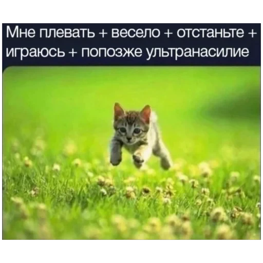 🌱 Стикер «плюхи» для Telegram
