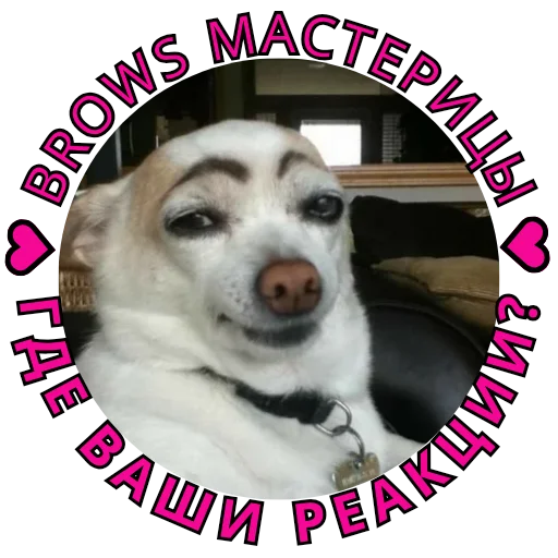 😘 Стикер «pngmali» для Telegram
