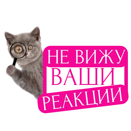 💌 Стикер «pngmali» для Telegram
