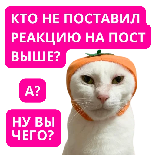 👍 Стикер «pngmali» для Telegram