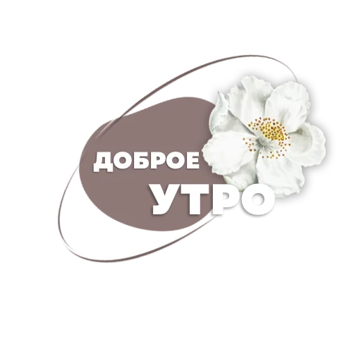 ☀️ Стикер «Пожелания» для Telegram