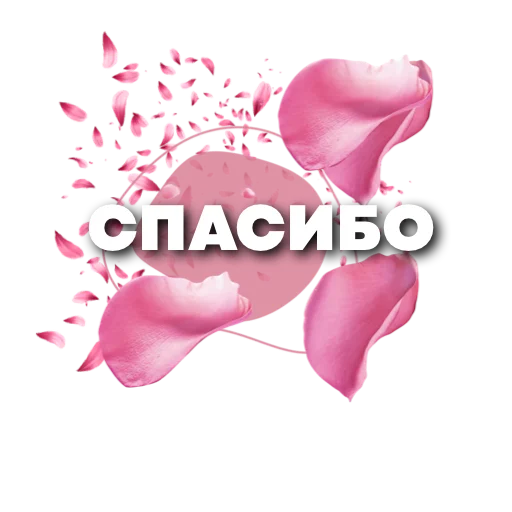 🌹 Стикер «Пожелания» для Telegram
