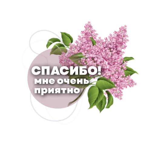 😍 Стикер «Пожелания» для Telegram