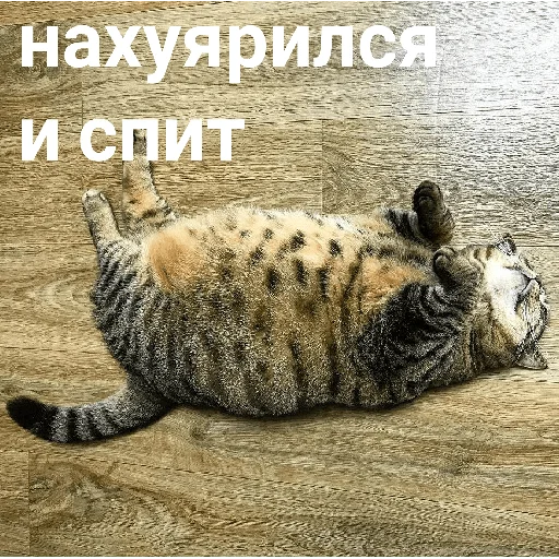 👎 Стикер «Пиздец» для Telegram