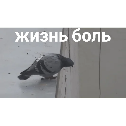 😭 Стикер «Пиздец» для Telegram