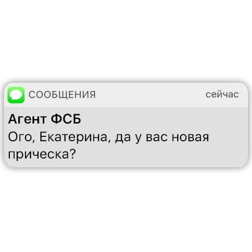 🧑‍🦰 Стикер «Карманный ФСБшник» для Telegram