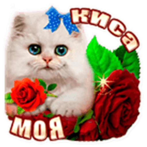 💋 Стикер «podaro4ki» для Telegram