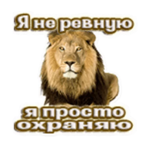 🐯 Стикер «podaro4ki» для Telegram