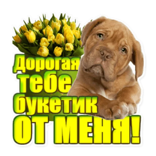 🐕 Стикер «podaro4ki» для Telegram