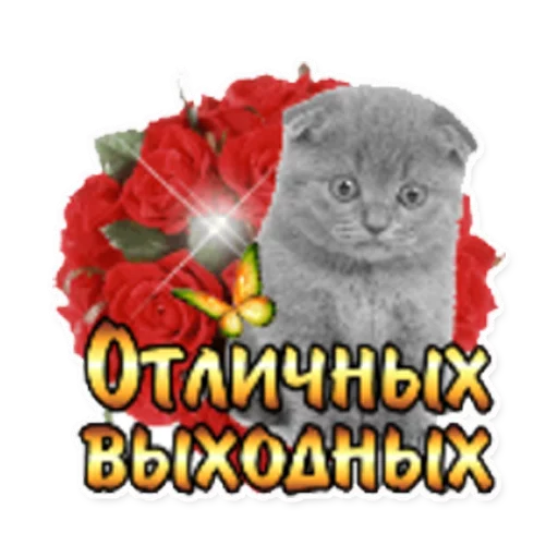 😨 Стикер «podaro4ki» для Telegram