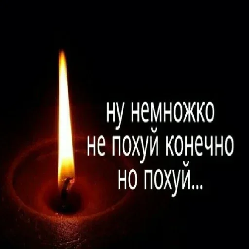 🤪 Стикер «Стикеры Пофигиста» для Telegram