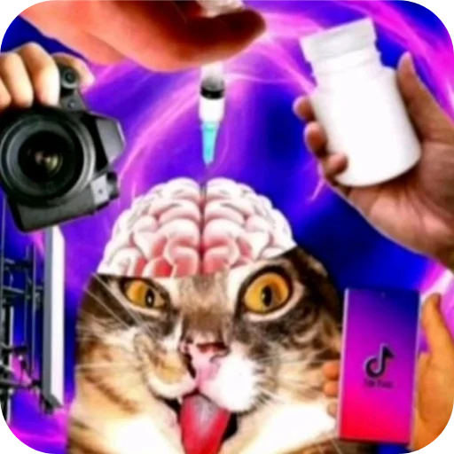 🐱 Стикер «похмелье» для Telegram