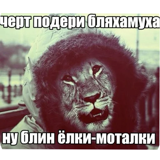 🥦 Стикер «похмелье» для Telegram