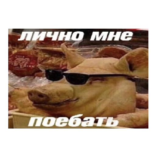 😏 Стикер «PohuyPack» для Telegram