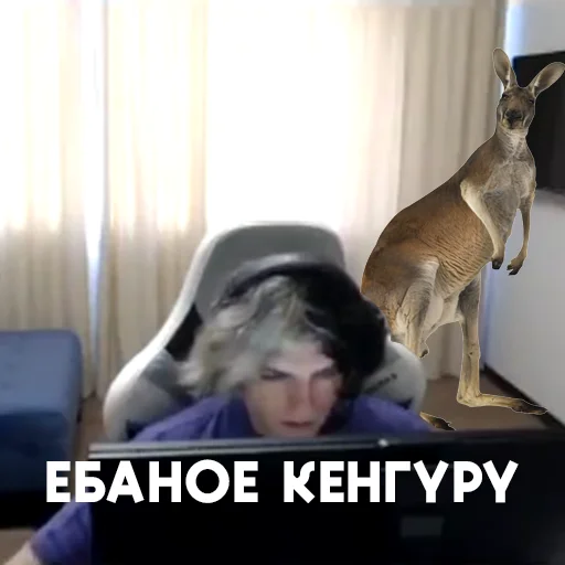 🦘 Стикер «deko» для Telegram