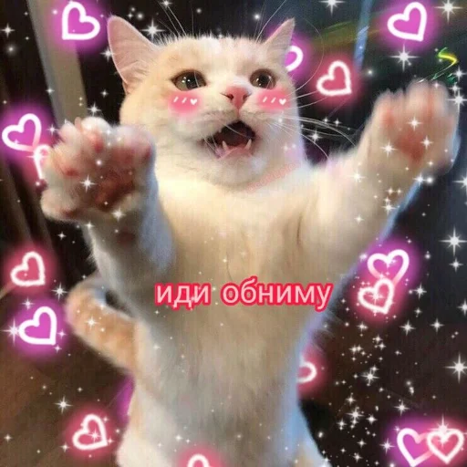 ☺️ Стикер «ты лапочка» для Telegram