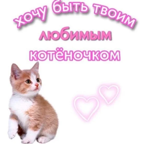 ☺️ Стикер «ты лапочка» для Telegram