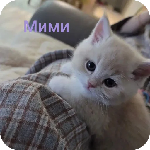 🥰 Стикер «Пока» для Telegram