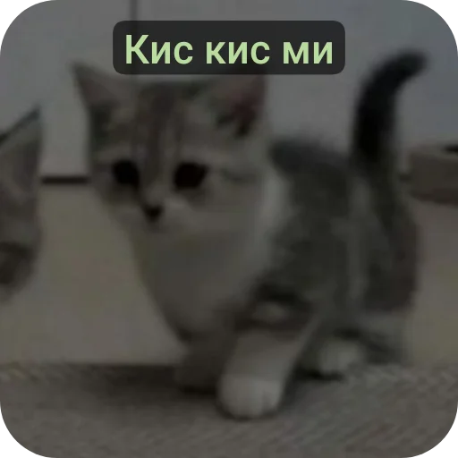 💋 Стикер «Пока» для Telegram