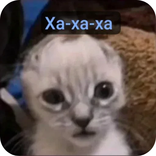 🤣 Стикер «Пока» для Telegram