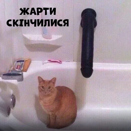 🍆 Стикер «Pokee» для Telegram