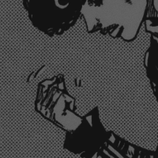 🏹 Стикер «Toru» для Telegram