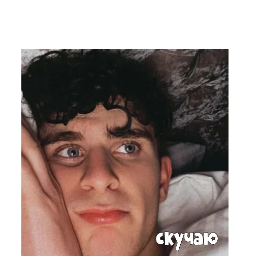 🥺 Стикер «PokrovxBabich LOL» для Telegram