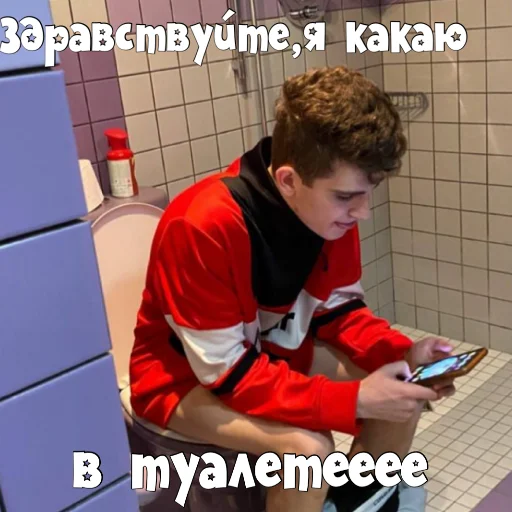 🚽 Стикер «PokrovxBabich LOL» для Telegram