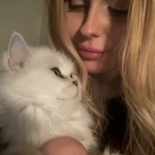 🐈 Стикер «polinasc» для Telegram