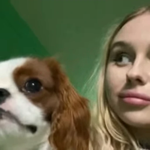 🐶 Стикер «polinasc» для Telegram