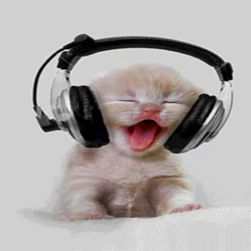 😋 Стикер «Ты вообще еблан?» для Telegram