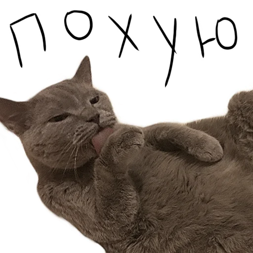 👍 Стикер «Poncik» для Telegram
