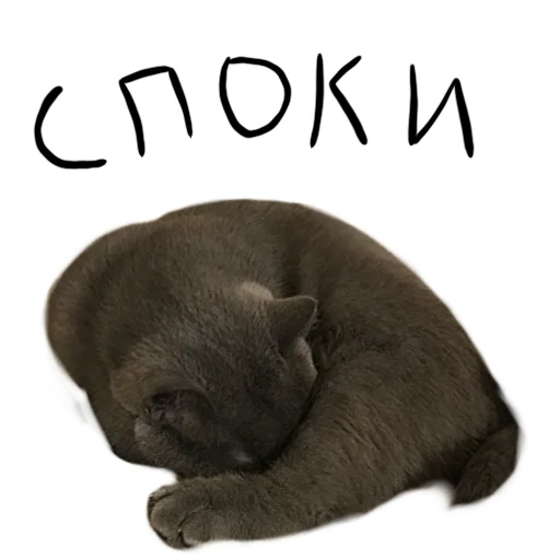 😴 Стикер «Poncik» для Telegram