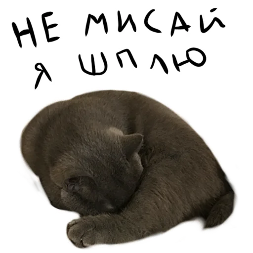 😴 Стикер «Poncik» для Telegram