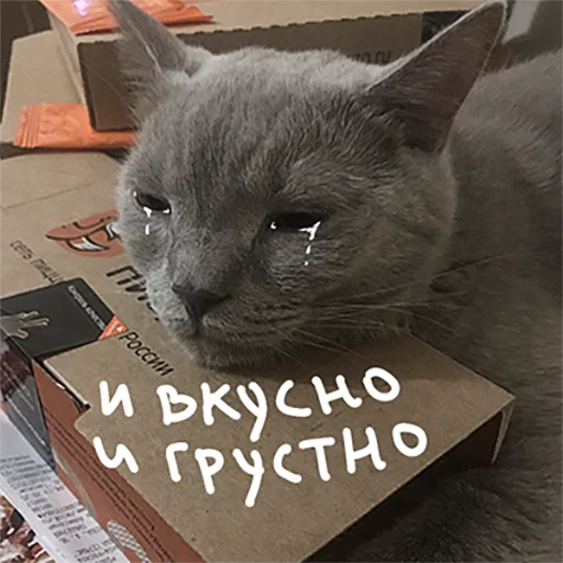 ☹️ Стикер «Poncik» для Telegram