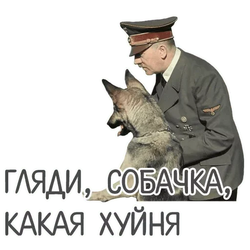 🙄 Стикер «Поняшимся» для Telegram