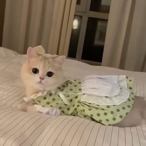 😘 Стикер «pookies» для Telegram