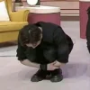 😰 Эмодзи «Kpop Кпоп» для Telegram