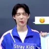 😋 Эмодзи «Kpop Кпоп» для Telegram