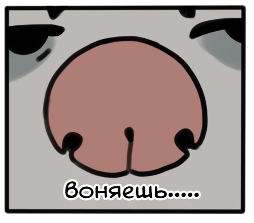 👃 Стикер «love_is_stored_in_the_possum» для Telegram