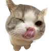 Стикер 2 Popipopipu