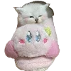 Стикер 16 Popipopipu