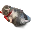Стикер 56 Popipopipu