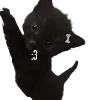 Стикер 13 Popipopipu